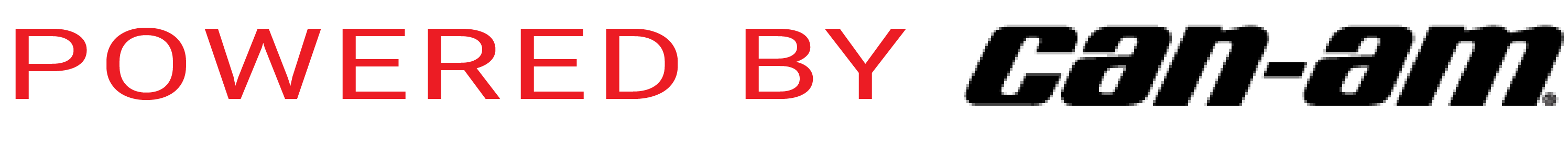 Partial Logo